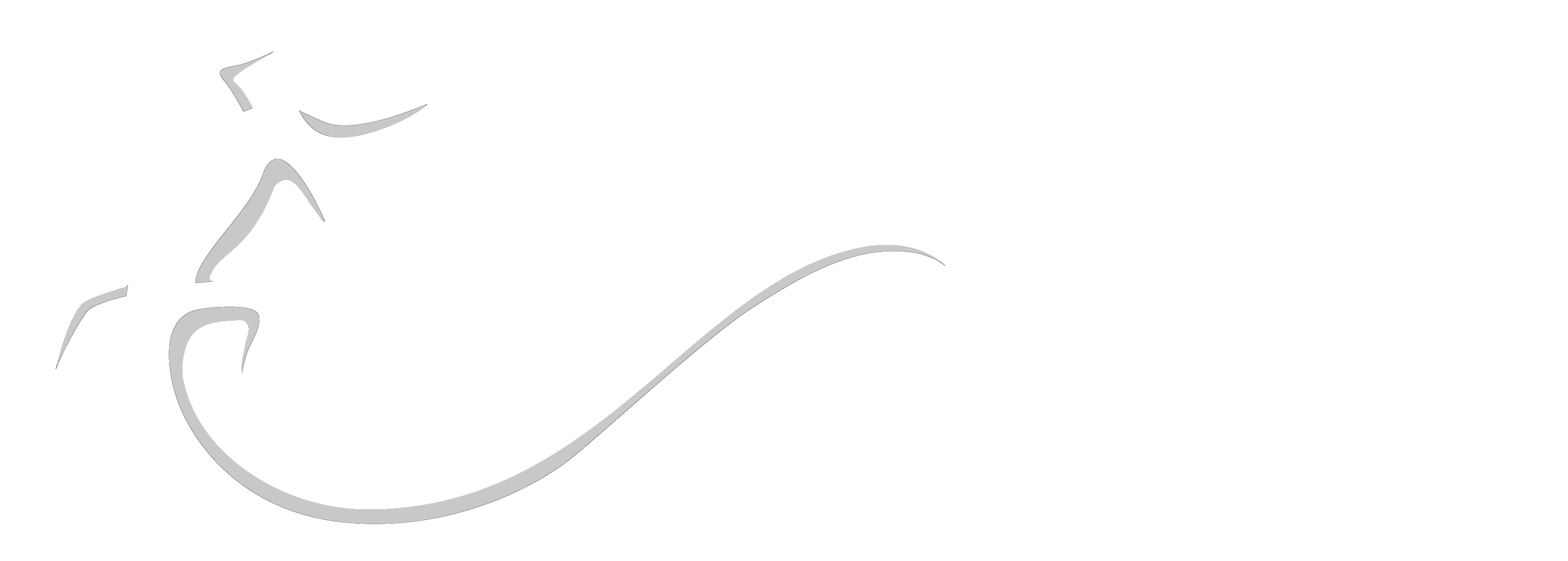 logo de website
